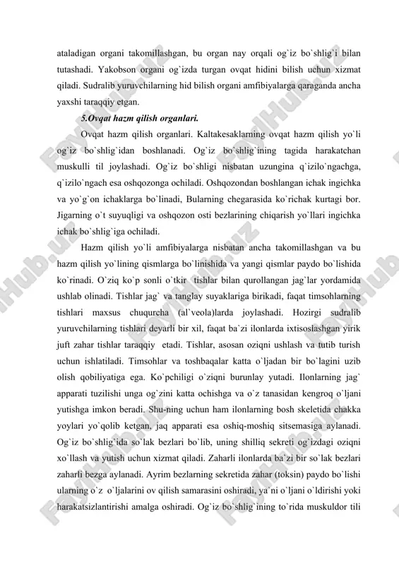 lining uchi, odatda ikkiga ajralgan va sezish organi bo`lib xizmat qiladi. og`iz bo`shlig`i qizil-o`ngachga ochiladi. oshqozon kuchli muskullarga ega va yaqqol ko`rinib turadi. ingichka va yo`g`on ichak orasida boshlang`ich ko`richak bor. yo`g`on ichak kloakaga ochiladi. oshqozon osti bezi birinchi ichak xalqasidan keyin joylashgan. jigarda o`t pufagi bo`lib, bu ham ingichka ichakning oldingi qismiga ochiladi (2-rasm). sudralib yuruvchilarning o`ziga xos xususiyati bu ularning ochlikka chidamliligi hisoblanadi. ayrim ilonlar va toshbaqalar tutqunlikda 1 yilgacha oziqasiz yashashi mumkin.