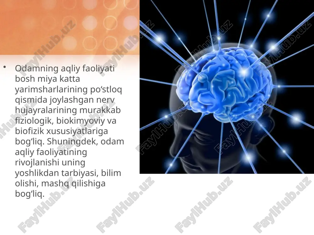 o'rta miya va bosh miyaning tuzilishi hamda funksiyasi - Page 5