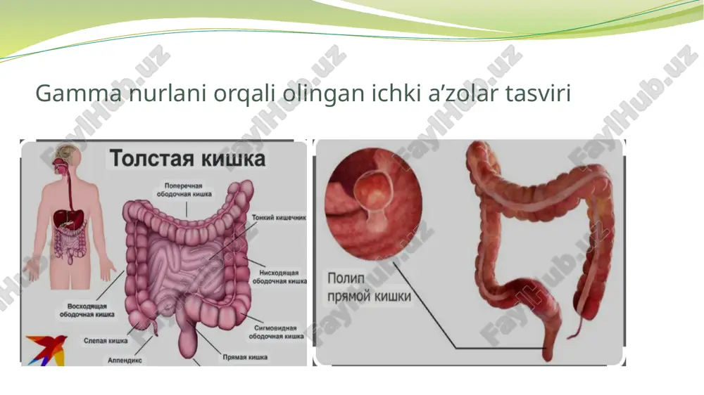gamma va rentgen nurlarining moddalar bilan o’zaro ta’siri - Page 5