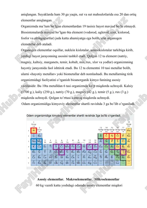 qlangan. organizmda ma’lum bo’lgan elementlardan 19 tasisiz hayot mavjud bo’la olmaydi. biosistemalarda mavjud bo’lgan 6ta element (vodorod, uglerod, azot, kislorod, fosfor va oltingugurtlar) juda katta ahamiyatga ega bolib, ular organogen elementlar deb ataladi. organogen elementlar oqsillar, nuklein kislotalar, aminokislotalar tarkibiga kirib, yerdagi hayot jarayonning asosini tashkil etadi. qolgan 12 ta element (natriy, magniy, kaltsiy, marganets, temir, kobalt, mis, rux, xlor va yodlar) organizmning hayotiy jarayonida faol ishtirok etadi. bu 12 ta elementni 10 tasi metallar bolib, ularni «hayotiy metallar» yoki biometallar deb nomlashadi. bu metallarning tirik organizmidagi faoliyatini o’rganish bioanorganik kimyo fanining asosiy vazifasidir. bu 10ta metalldan 6 tasi organizmda ko’p miqdorda uchraydi. kalsiy (1700 g.), kaliy (250 g.), natriy (70 g.), magniy (42 g.), temir (5 g.), rux (3 g.) miqdorda uchraydi. qolgan to’rttasi kamroq miqdorda uchraydi. odam organizmidiga kimyoviy elementlar shartli ravishda 3 ga bo’lib o’rganiladi. asosiy elementlar. makroelementlar. mikroelementlar 60 kg vaznli katta yoshdagi odamda asosiy elementlar …