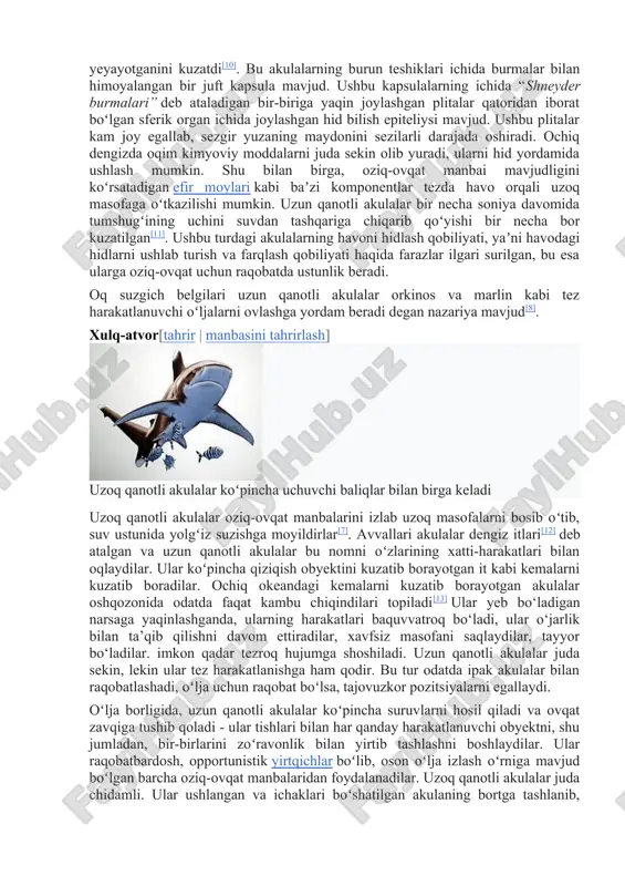 an oziqlanadi. ov paytida akulalar ogʻizlari ochiq holda baliqlar orasidan suzib oʻtadi. ov paytida ular tajovuzkor boʻladi. jaws muallifi piter benchli uzun qanotli akula uchuvchi kitlar orasida suzib, ularning axlatini yeyayotganini kuzatdi[10]. bu akulalarning burun teshiklari ichida burmalar bilan himoyalangan bir juft kapsula mavjud. ushbu kapsulalarning ichida “shneyder burmalari” deb ataladigan bir-biriga yaqin joylashgan plitalar qatoridan iborat boʻlgan sferik organ ichida joylashgan hid bilish epiteliysi mavjud. ushbu plitalar kam joy egallab, sezgir yuzaning maydonini sezilarli darajada oshiradi. ochiq dengizda oqim kimyoviy moddalarni juda sekin olib yuradi, ularni hid yordamida ushlash mumkin. shu bilan birga, oziq-ovqat manbai mavjudligini koʻrsatadigan efir moylari kabi baʼzi komponentlar tezda havo orqali uzoq masofaga oʻtkazilishi mumkin. uzun qanotli akulalar bir necha soniya davomida tumshugʻining uchini suvdan tashqariga chiqarib qoʻyishi bir necha bor kuzatilgan[11]. ushbu turdagi akulalarning havoni hidlash qobiliyati, yaʼni havodagi hidlarni ushlab turish va farqlash qobiliyati haqida farazlar ilgari surilgan, bu esa ularga oziq-ovqat uchun …