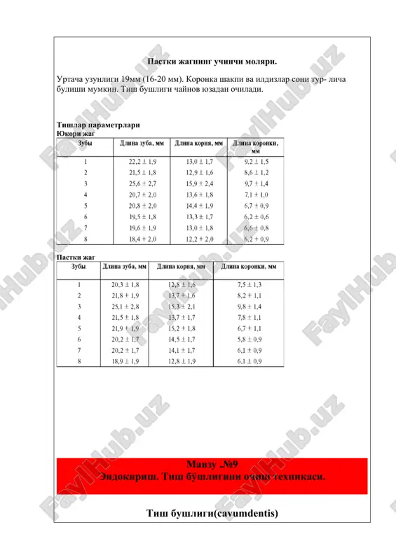 darxtning ildiz tizimi bilan kiëslash mumkin. xozirda ildiz kanallarining 9 turi tafovut etiladi: 1 .birinchi shakl. pulpa kamerasi tubidan boshlanib, to ildiz uchigacha davom etadi.. bundaĭ turdagi ildiz kanali markaziĭ kurak tishlariga xosdir. bundaĭ tishlarni davolash kiĭinchilik tugdirmaĭdi. 2. ikkinchi shakl. ildiz kanallari pulpa kamerasi tubida aĭri xolida boshlanib, ildiz uchki tarafida birlashadi va yagona apikal tirkish sifatida yakunlanadi. bundaĭ tur pastki kurak va yukorigi premolyarlar uchun xos. 3. uchinchi shakl. pulpa kamerasi tubidan yakka kanal xolida boshlanib, ildizning 1/3 kismida ikkiga ajralib, yana apikal soxada yagona tizimga birlashib bitta apikal teshik sifatida yakunlanadi. bundaĭ xolat ën gurux tishlariga xos. 4. turtinchi shakl. bir ildizli tishda ikkita mustakil bir biriga boglik bulmagan xolatda boshlanadi va apikal soxada shu tarzda yakunlanadi. bundaĭ kanallar tizimiga pastki katta va kichik ozik tishlari, va kurak tishlari egadir. 5. beshinchi shakl. bir ildizli tishda fakat bitta kanal bulib, u apikal soxada ikkiga kanalchaga ajraladi.bundaĭ xolat …