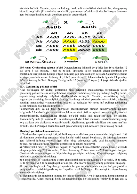 ovchi o'quv jadvallari, diapozitivlar, slaydlar, kodoskop, o'quv videofilmlari. mashg'ulot rejasi. talabalar o'qituvchi yordamida genlarning o'zaro ta’siri shakllari, ularning mohiyatlarini puxta o'zlashtirib olganlaridan keyin to'liqmas dominantlik, kodominantlik, qon guruhlarining nasldan naslga o'tishi, komplementarlik, epistaz, polimeriyaga bag'ishlangan masalalarni yechishni o'rganadilar. masalalar yechilishi albomga yozib olinadi. mashg'ulot oxirida albomlar tekshirilib, talabalar bilimlari baholanadi va keyingi mashg'ulotga topshiriqlar boriladi. masalalar. 1. ii qon guruhi bo‘yicha geterozigotali ayol iii qon guruhli (geterozigotali) erkakka turmushga chiqsa ulardan qanday qon guruhli bolalar tug'ilishi mumkin? belgi gen genotip gen ta’siri qon guruhi kodominantlik ii guruh ia iaia ; iai°. iii guruh ib ibib. ibi° ? - ia i» 8 — iri° f? masalaning yechilishi: p: ₽ iai° x ibi° gametalar: a i a (p) (l°) f: iaib iai° jbjo i°i° genotip: 25% iaib (iv) fenotip 25% 1° (i) 25% iai° (p) 25% ia (ii) 25% ibi° (hi) 25% ib (iii) 25% i°i° (i) 25% iaib (iv) 2. ii …