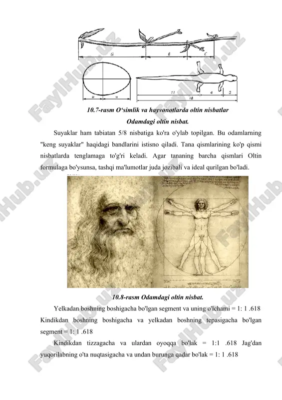 oltin kesim qonuni - Page 5