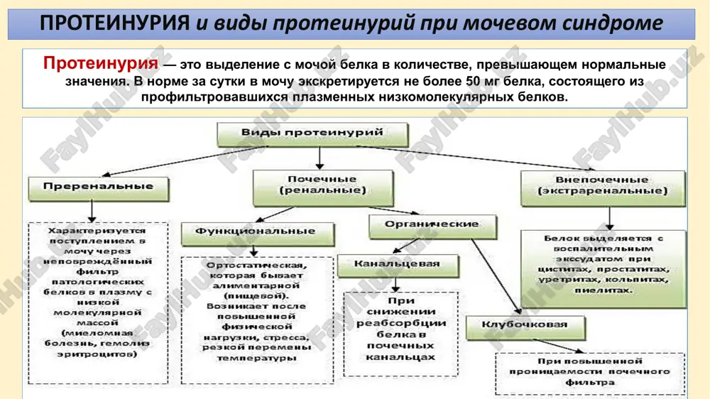 e tsilindri — belkovie obrazovaniya, imeyushie nejnie konturi i gladkuyu, slegka zernistuyu poverxnost (pri ostrix i xronicheskix glomerulonefritax, amiloidoze, fiziologicheskoy prexodyashey albuminurii, ix mojno obnarujit v moche prakticheski zdorovix lyudey pri rezkom snijenii ee rn i uvelichenii otnositelnoy plotnosti, chto xarakterno dlya degidratatsii). 2. zernistie tsilindri - chetko konturiruyushiesya, sostoyat iz plotnoy zernistoy massi raspavshixsya kletok pochechnogo epiteliya (nalichie etix tsilindrov v moche svidetelstvuet o distroficheskix protsessax v kanaltsax pochek). 3. voskovidnie tsilindri imeyut rezkie konturi i gomogennuyu strukturu jeltogo tsveta (xarakterni dlya xronicheskix tyajelix zabolevaniy pochek). 4. fibrinnie - v norme ne opredelyayutsya, xarakterni dlya gemorragicheskoy lixoradki s pochechnim sindromom. 5. epitelialnie - sformirovannie iz kletok epiteliya, obnarujivayutsya pri nekroze pochek, virusnix zabolevaniyax. 6. eritrotsitarnie - iz eritrotsitov, viyavlyayutsya pri ostrom glomeru- lonefrite, infarkte pochki, zlokachestvennoy gipertenzii. 7. leykotsitarnie - iz leykotsitov, vstrechayutsya pri pielonefrite, volchanochnom nefrite. tsilindri - predstavlyayut soboy belkovie ili kletochnie obrazovaniya kanaltsevogo proisxojdeniya, imeyushie tsilindricheskuyu …