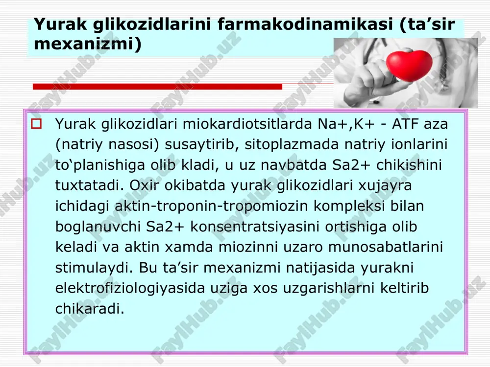 sekin tezliklagi digitalizatsiyada yurak glikozidlarini mikdorlari digitali-zatsiya kunlari strofantin v/i mg digoksin v/i mg digoksin o/o mg digitoksin o/o mg u r t a ch a t ye z l i k d a 1-kun 0,25 + 0,25 0,5 + 0,25 1,25 0,8 2-kun 0,25 + 0,125 0,5 + 0,25 1,25 0,6 3-kun 0,25 0,5 1,0 0,5 s e k i n t ye z l i k d a 1 - kun 0,25 0,5 0,75 0,5 2 – kun 0,25 0,5 0,75 0,4 3 – kun 0,25 0,5 0,75 0,4 4 – kun 0,25 0,5 0,75 0,3 5 – kun 0,25 0,5 0,75 0,3 6 – kun 0,25 0,25 - 0,5 0,5 0,2 7 - kun 0,25 0,25 - 0,5 0,5 0,2 sekin tezlikdagi digitalizatsiyada organizmda digoksinni koldik mikdorini xisoblash kunlar kiritilgan mikdor mg da zliminatsiya bulmasa, kunni oxirida organizmda kolishi kerak bulgan mikdor, mg da utgan kunlarda eliminatsiya …