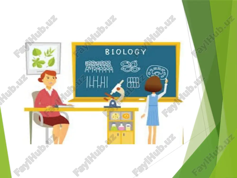 visual_aids_in_teaching_english ubs - Page 5