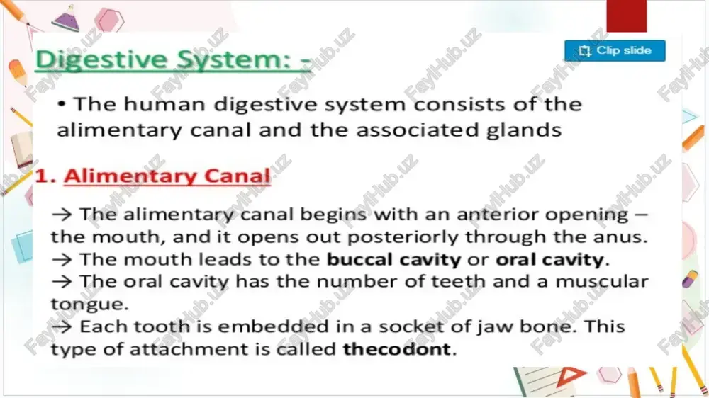 man. it is situated in the abdominal cavity, just below the diaphragm and has two lobes. = the hepatic lobules are the structural and functional units of liver containing hepatic cells arranged in the form of cords. each lobule is covered by a thin connective tissue sheath called the glisson’s capsule. upload login signup recommended bluetooth technology karthik bharadwaj voltage source converters ‘as a building block of hvdc and facts karthik bharadwaj honeypot-defense through mechanism karthik bharadwaj what to upload to slideshare slideshare customer code: creating a ‘company customers love hubspot 45 12012021 € cg @ slidesharenet/karthikbharadwaj17/digestion-and-absorption-class-11-ppt ax @ upload explore recommended =. bluetooth technology * the bile secreted by the hepatic cells passes through the hepatic ducts and is stored and concentrated in a thin muscular sac called senos) the gall bladder. * the duct of gall bladder (cystic duct) along with the heptic duct forms the common bile …