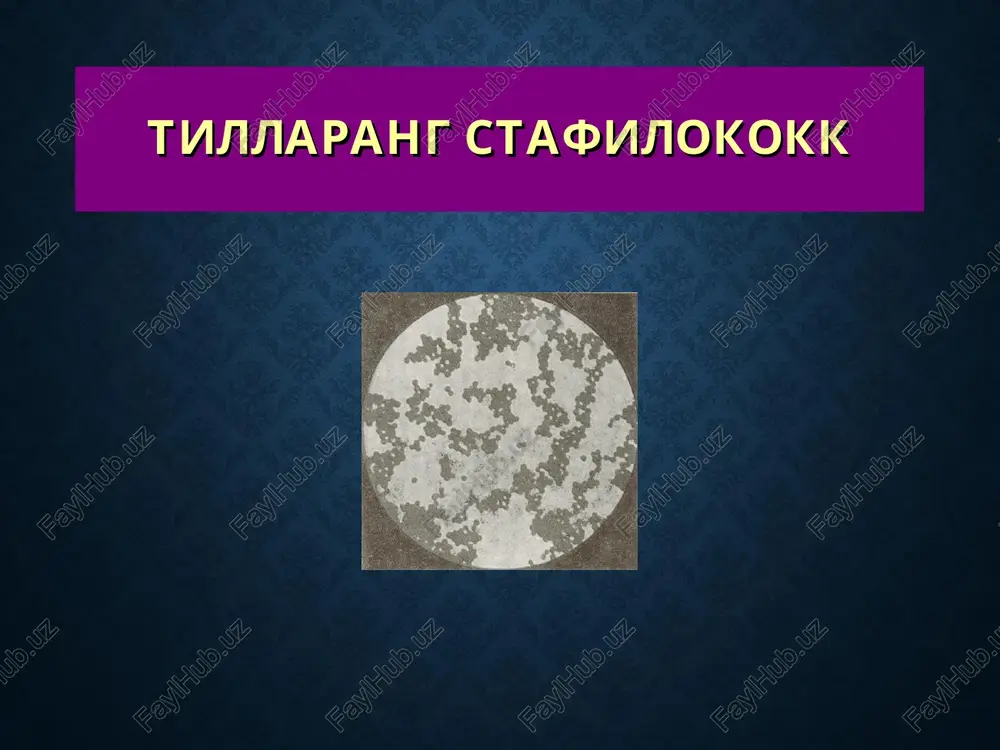 llaydi va furunkulga nisbatan derma va gipodermaning yanada chuqur qavatlariga tarqalgan bo'ladi. «karbunkul» so'zi yunoncha bo'lib, «carvo» – ko'mir so'zidan kelib chiqqan va «ko'mirga aylanish», («qorayib kuyish») ma'nosini anglatadi. klinikasi kasallik boshlanishida bir necha soch follikulasida birdaniga yoki birin-ketin qattiq infiltrat paydo bo'lib, bular bir butun infiltrat hosil qilib qo'shiladilar. u kattalashib ba'zan bolalar kafticha bo'lishi mumkin. uning yuzasi yarimsharsimon shaklda bo'lib, teri taranglashadi, mahalliy harorat ko'tariladi. infiltrat markazi ko'kimtir, atrofi qizg'ich rangda bo'ladi va kuchli og'riq bilan kechadi. bu infiltrat rivojlanayotgan birinchi bosqich bo'lib, u 8-12 kun davom etadi. keyin infiltratning markaziy sohasida, soch follikulasi atrofida nekroz kuzatiladi va bir nechta maddalar shakllanadi. ularning qobig'i qoramtir tusga kiradi, yoriladi va g'alvirni eslatuvchi bir nechta teshik paydo bo'ladi. bulardan qon aralash sarg'imtil-yashil rangli yiring oqib chiqa boshlaydi. karbunkul markazidagi boshqa sohalar ham sekin-asta nekrozga uchraydi. ajralib chiqqan massalar o'rnida chuqur yara shakllanadi. ikkinchi bosqich, ya'ni yiringlash va nekrozga uchrashi 14 …