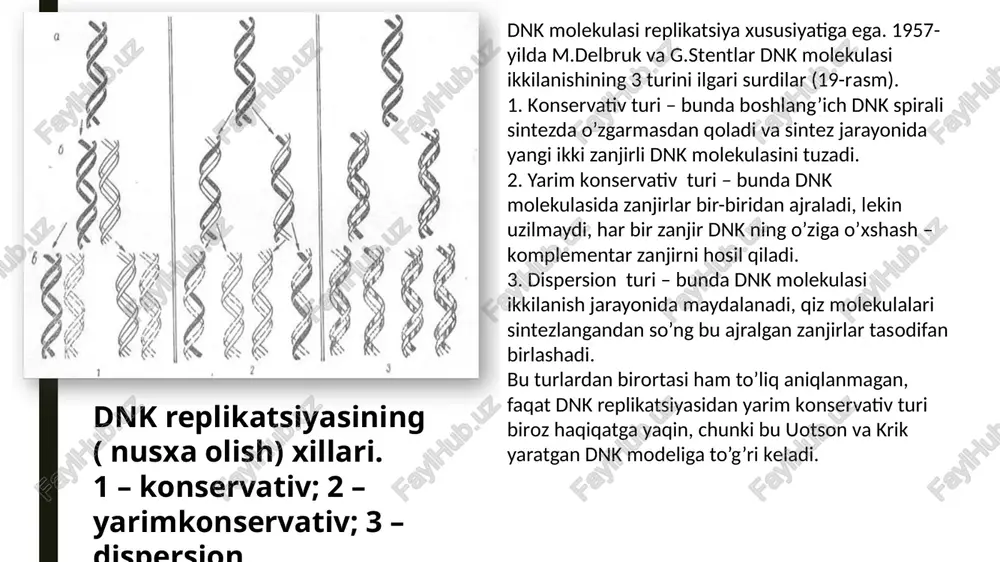 irsiyatning molekulyar asoslari - Page 5