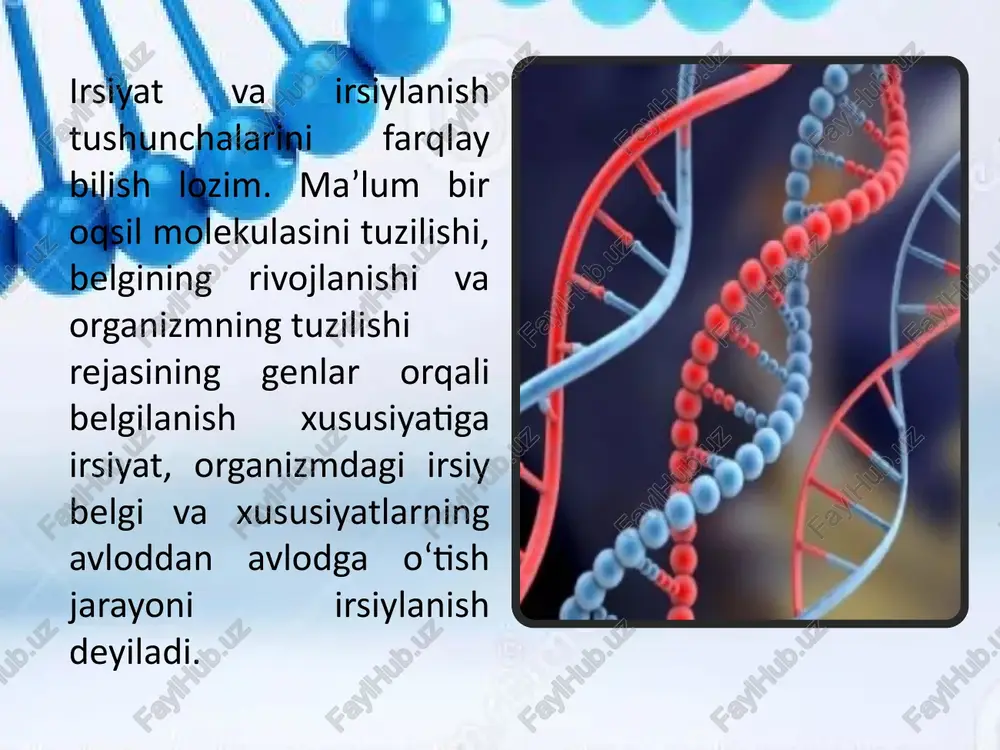 irsiyatning moddiy asoslari - Page 5