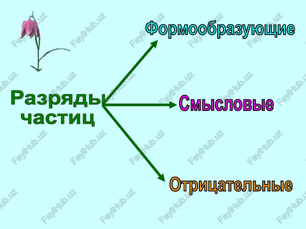 prilagatelnie stradatelnie prichastiya nastoyashego vremeni (s suffiksami -om-, -em-, -im-) obrazuyutsya tolko ot perexodnix glagolov nesovershennogo vida ( provetrivat – perexodniy glagol (provetrivat komnatu) nesovershennogo vida (otvechaet na vopros: chto delat?); ot nego obrazuetsya prichastie «provetrivaemiy», kotoroe podchinyaetsya pravilam pravopisaniya ne s prichastiyami, (neprovetrivaemoe pomeshenie, davno ne provetrivaemoe pomeshenie) otglagolnie prilagatelnie s temi je suffiksami obrazuyutsya libo ot glagolov sovershennogo vida (ob'yasnit [chto sdelat?] → ob'yasnimiy), libo ot neperexodnix glagolov (obitat → obitaemiy). prilagatelnie na -miy podchinyayutsya obshim pravilam pravopisaniya ne s prilagatelnimi ( neobitaemiy ostrov – ostrov neobitaem; neob'yasnimie yavleniya, neob'yasnimie naukoy yavleniya, yavleniya neob'yasnimi – nikem ne ob'yasnimie yavleniya). nevredimiy, nevozmutimiy, nevoznagradimiy, nevospolnimiy, nevirazimiy, nevinosimiy (neterpimiy,), nevozratimiy, nevozmutimiy, neznaemiy, neziblemiy, nezrimiy, nedostijimiy, neizgladimiy, neizmerimiy, neiz'yasnimiy, neischerpaemiy, neispovedimiy, neispolnimiy, neispravimiy, neissyakaemiy, neistoshimiy, neistrebimiy, neistselimiy, neischislimiy, neiskupimiy, neiskorenimiy, nekolebimiy, neminuemiy, neobxodimiy, neob'yasnimiy, neodolimiy, neopisuemiy, neoproverjimiy, neosporimiy, neosushestvimiy, neotvratimiy, neotdelimiy, neot'emlemiy, neotsenimiy, nepobedimiy, neotrazimiy, neopalimiy, nepogreshimiy, nepokolebimiy, nepodrajaemiy, nepreodolimiy, nepotoplyaemiy, neprerekaemiy, …