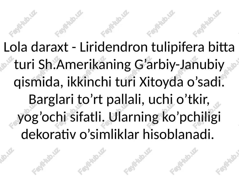 magnoliyadoshlar, lavrdoshlar, oilasi - Page 5