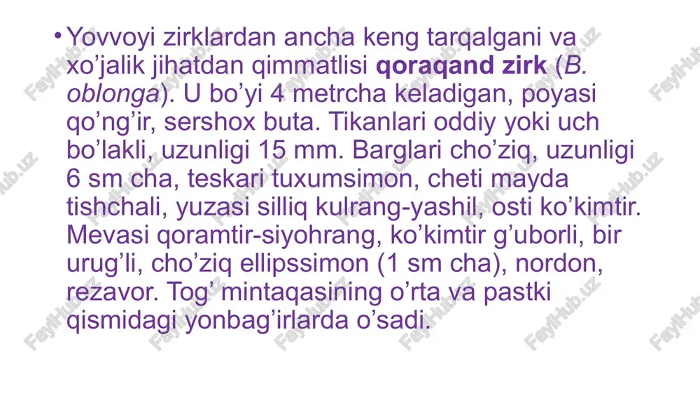 zirkdoshlar va nargisdoshlari oilalari - Page 5