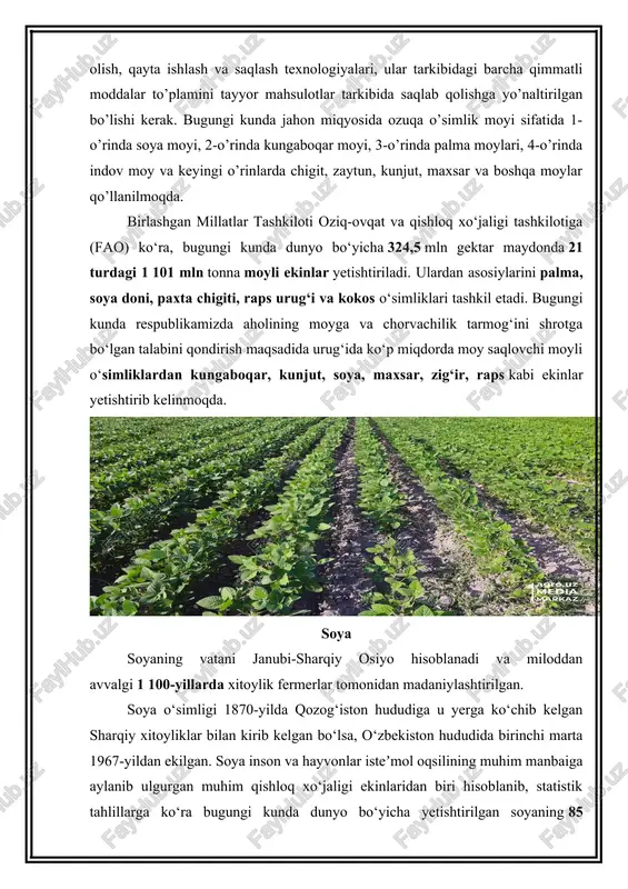 67-yildan ekilgan. soya inson va hayvonlar isteʼmol oqsilining muhim manbaiga aylanib ulgurgan muhim qishloq xo‘jaligi ekinlaridan biri hisoblanib, statistik tahlillarga ko‘ra bugungi kunda dunyo bo‘yicha yetishtirilgan soyaning 85 foizi chorva ozuqasiga va qolgan 15 foizi bevosita inson isteʼmoli uchun yo‘naltiriladi. soya doni tarkibida katta miqdorda oqsil va moy mavjud, bundan tashqari mineral va vitaminlarga juda boy hisoblanadi. urug‘ining tarkibida 18-24% yog‘, 35-45% oqsil, 30% uglevod va 5% mineral, ko‘p miqdorda vitamin va aminokislotalar mavjud. bundan tashqari, chorvachilikda sifatli va to‘yimli ozuqa hisoblanib, 100 kg soya doni 134,8 ozuqa birligi saqlaydi. bu ko‘rsatkich boshqa bironta donli, dukkakli yoki moyli ekinlarda uchramaydi. eng muhimi soya yetishtirish yerning meliorativ holatini yaxshilash va tuproq unumdorligini oshirish xususiyatiga ega bo‘lib, almashlab ekishda muhim ahamiyat kasb etadi. dunyo bo‘yicha har yili o‘rtacha 334 mln tonna soya yetishtiriladi, shundan braziliya (114 mln tn), aqsh (97 mln tn) va argentinaning (55 mln tn) ulushi qariyib 80 foizni tashkil …