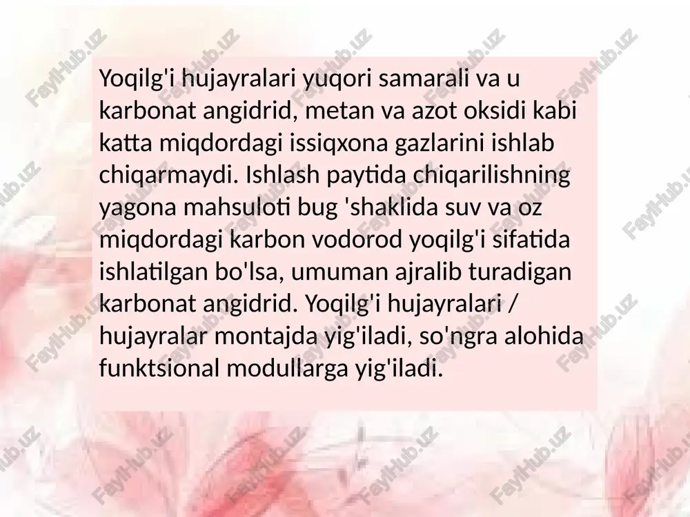 yoqilg‘i elementlari. - Page 5