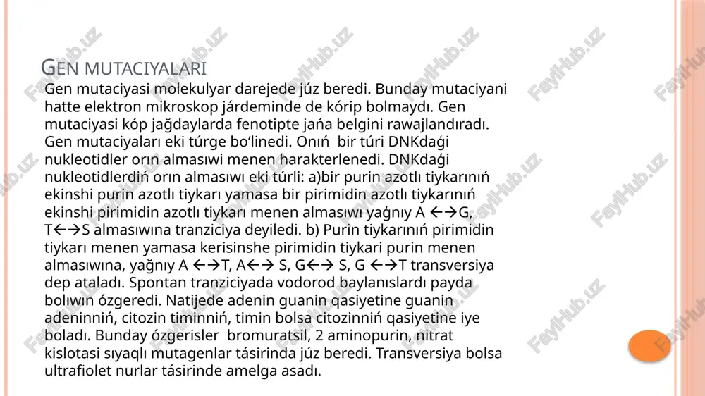 mler júda kem. biraq ayirim qaniygelesken organlar, sútemiziwshi haywanlardıń bawır, ishek toqıması silekey bezi xromosomaları poliploid ekenligi aniqlanģan. ğawashanıń a) tetraploid b) diploid sortı g.hirsutum l hám g. herbaceum l 1) gúli 2) gúltaj japırağı 3) gúlqorģanı 4) japıraģı 5) ashılmaģan górek 6) ashılģan górek ósimliklerde jasalma rawishte poliploid formalardı payda etiwda kolxitsin alkoloidınan tısqarı vinblastin, ashıtqı zamarrıqlarında kamforadan paydalanıladı.poliploidiya eki túrlu bo'ladı: avtopoliploidiya hám allopoliploidiya. avtoploidiya bir túrge tiyisli organizm xromosomaları eselep artıwı sebepli júz beredi. avtopoliploidlar teńsalmaqlı (4n, 6n, 8n, h.b) hám teńsalmaqsız (3, 5n, 7n h.b) ģa bólinedi. teńsalmaqlı avtopoliploidlar xromosoması diploid bolğan organizmlarge qarağanda iri paqallı. japıraqlı, gúlli, tuqımlı boladı. poliploid kletkalarda diploidlı kletkalarğa qaraģanda yadroları iri boladı. kóplegen o`simliklerde poliploid qatarlar bolıp olarda xromosoma sanı 2n....10n ģa shekem baradı. gulli o'simliklerde kóp awladlar poliploid qatarlardan ibarat. allopoliploidlar ádette turler ara gibrid organizmlerdegi xromosoma toplamınıń eselep artıwı sebepli payda boladı. bunday formalardıń tabiyatta payda bolıwı múmkinligi …