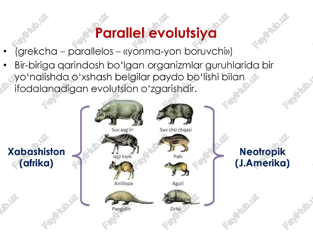 goladi, unda mikroorganizmlar paydo bo'‘lmaydi. paster tajribasidan keyin fanda: oziqa mahsulotlarini konservatsiyalash, sut mahsulotlarini pasterizatsiyalash, tibbiyot da yaralarni va jarrohlik asboblarini sterilizatsiyalash ma'lum bo'ldi. & bakteriyalar \\ cho‘kmasi panspermiya nazariyasi bu nazariyasiga ko'ra hayot mangu mayjuddir va u bir sayyoradan ikkinchi sayyoraga ko'‘chib yuradi. bu nazariyaning tarafdorlari: shved fizik olimi, s. arrenius, rus olimi v. 1. vernadskiy, amerika biofizigi va genetigi, f. krik bu olimlarning fikriga ko‘ra, hayot yerda paydo bo'lmagan, boshga sayyoralardan yerga metecritlar orgqali yoki yorug‘lik nurlarining bosimi ta’sirida kelib golib, qulay sharoitda, oddiy organizmlardan murakkab organizmlargacha rivojlangan. 1. biokimyoviy nazariya bu nazariya xx asrning 20-30-yillarida shakllana boshladi. bu nazariyaga ko'ra yerning ilk rivojlanishi davrlarida undagi iqlim sharoitlari hozirgi zzamondagiga nisbatan juda katta farq gilgan. hayot organik moddalardan dastlabki hayot shakillariga aylanib borganiigi keltriladi. demak nazariyaga ko’'ra hayot avval kimyoviy so’ng biologik evolutsiva mahsulidir. ch. darvin fikriga ko'ra, hayot faqat hayot bo'imagan sharoitlardagina kelib chiqishi mumkin. hayot paydo …
