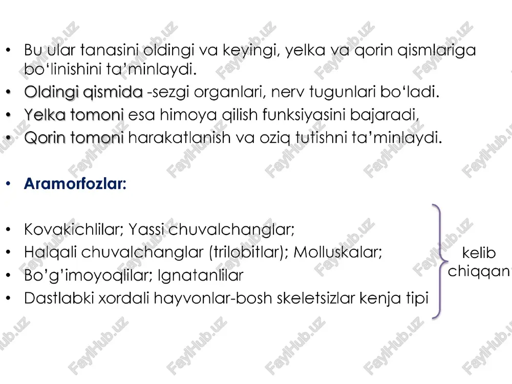 500-600 sm3 bo'lgan. avstralopiteklar chanog suyagining tuzilishi ikki oyoqlab harakatlanganligidan dalolat beradi. avstralopiteklarningsuyak goldiqlari keniyaning rudolf ko'll atrofidan 5,5 mln yoshda bo'lgan yer gatlamlaridan topilgan. avstralopiteklarning bir turi rivojlanib, dastlabki odam (homo habilis)ni hosil gilgan. avstrali opi tek homo habilis ya'ni uquvli odam. bosh miyasining hajmi 650-680 sm3 bo'lgan. bo'yi 135-150 sm. ular tayyor tosh, yog'och qurollar yordamida yirik hayvoniarni oviaganiar, o'simliklarni yer ostidagi piyozlari, tuganaklari, ildizlarini kovlaganlar. homo habilis olovdan foydalanishni bilgan hamda yirik toshlardan o'‘zlari uchun kulba yasagan. shu sababli ular «uquvli odam» deb atalgan homo habilis arxantroplar ya'nieng gqadimgi odamlar. arxantroplar tik yuruvchi odam — homo erectus turiga kiritiladi. arxantroplarga: pitekantrop va sinantrop odamiar kiritiladi. . pitekantrop ya'nimaymun odam 189 1-yilda dyubua yava orolidan suyak goldiglarini toogan. uning bo'yi 170 sm, miyasining hajmi 800-1100 sm3 bo'lgan. toshdan, suyakdan qurollar yasagan, olovdan foydalanishni bilgan va jamoa bo'lib yashagan. 2. sinantrop 1927-1937-yillarda pekin atrofidagi g'ordan sinantrop odamning suyak goldiglari …