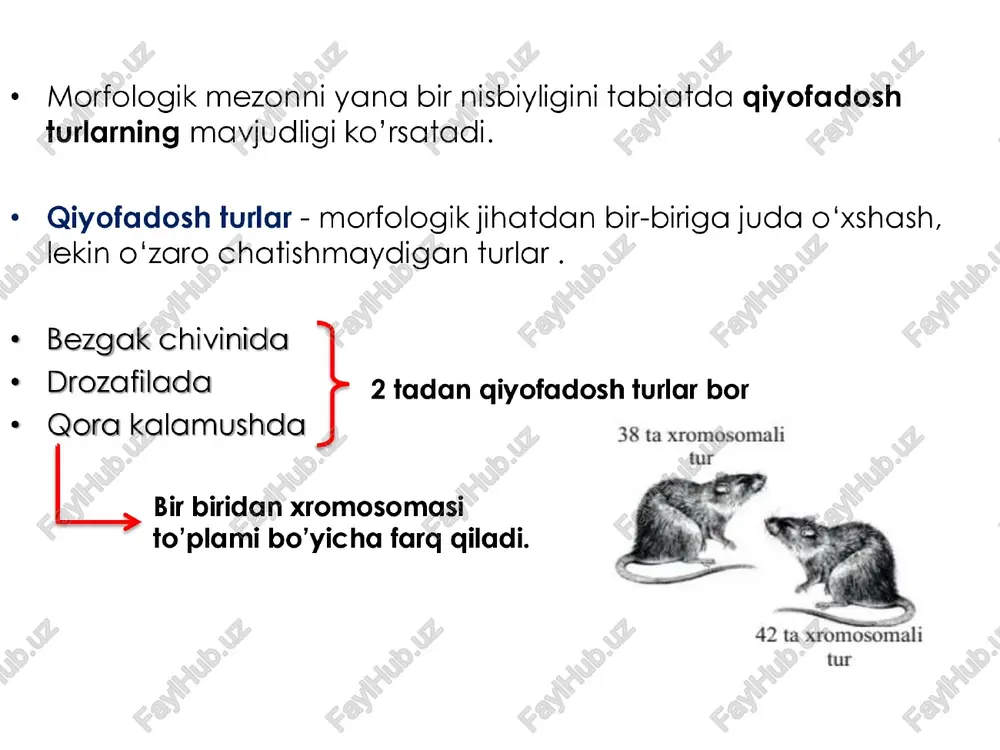 bilan chatishib ketishini oldini oladigan jarayonlar yig’indisidir. populatsiyalar orasida genlar ogqimi bo'lib turganda, vlarda genetik farglar to‘planmaydi. alohidalanish esa irsiy axborot almashinuvini to'xtatadi va populatsiyani yangi mustagil genetik tuzilmaga aylantiradi. alohidalanishning bir gancha turlari farq gilinadi. geografik alohidalanish ekologik alohidalanish biologik alohidalanish etiologik alohidalanish evolutsion g’oyalarning paydo bo 'lishi ushbu mavzular bilan biz qadimgi olimlarning biologik nazariyalari va qarashlarni ko'rib chiqamiz hozirgilari bilan qiyoslaymiz. /\ shuni unutmang evolutsiya bu nazariya — fakt emas. = qadimgi sharq mamlakatlarining garashlari misr, xitoy, xindistonda paydo bo'lgan. hindistonliklar olam 5 ta elementdan (olov, suv, havo, yer, efir) dan iborat deb hisoblaganlar. (oshye) markaziy osiyoda yashagan odamlar dunyogarashi, turmush kechirish tarzi, atrofdagi o'lik va tirik tabiat to'g‘risidagi tushunchalari «avesto» kitobida o'z ifodasini topgan. avestoning tibbiyotga doir bo'limida odam tanasining, uy- joylarning tozaligiga e'tibor berish, toza suvni ehtiyot gilish keltirilgan. shuningdek unda tuprog, yer mugqaddas sanalgan. qadimgi yunonistonda garashlar aristotel - hayvonlar klassifikatsiyasining asosini tuzgan, - …