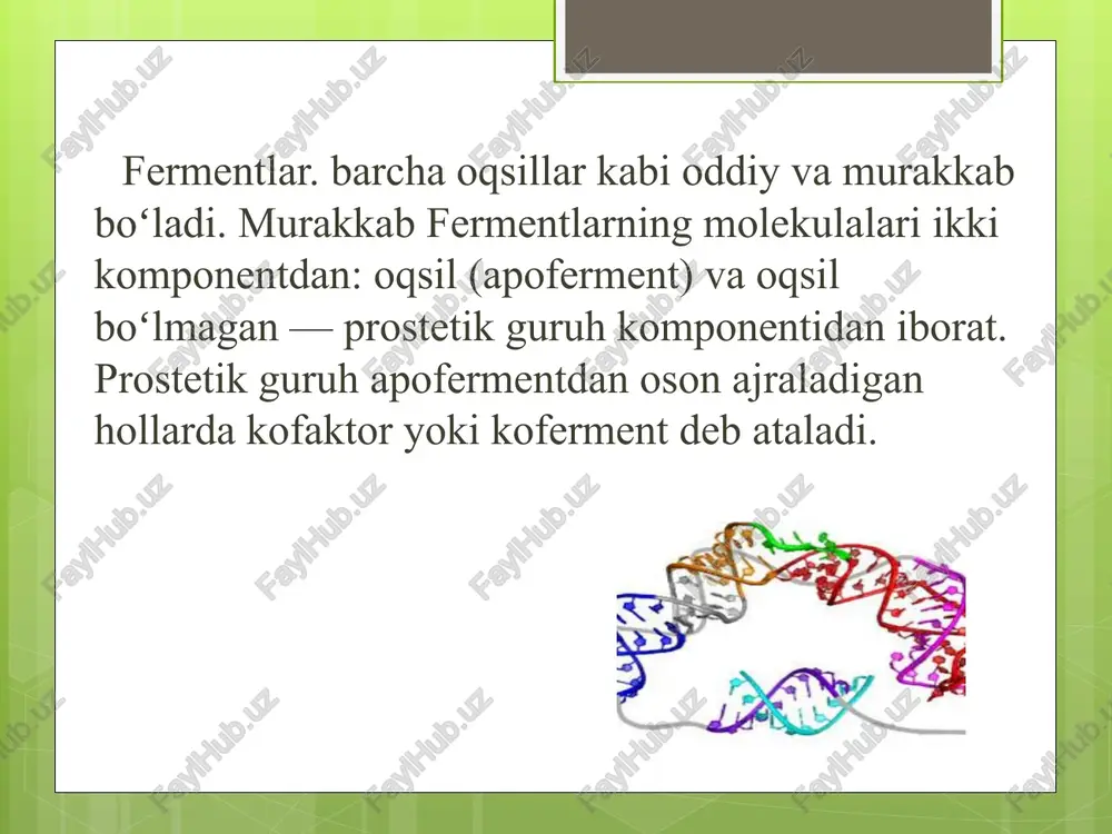 fermentlar - Page 5