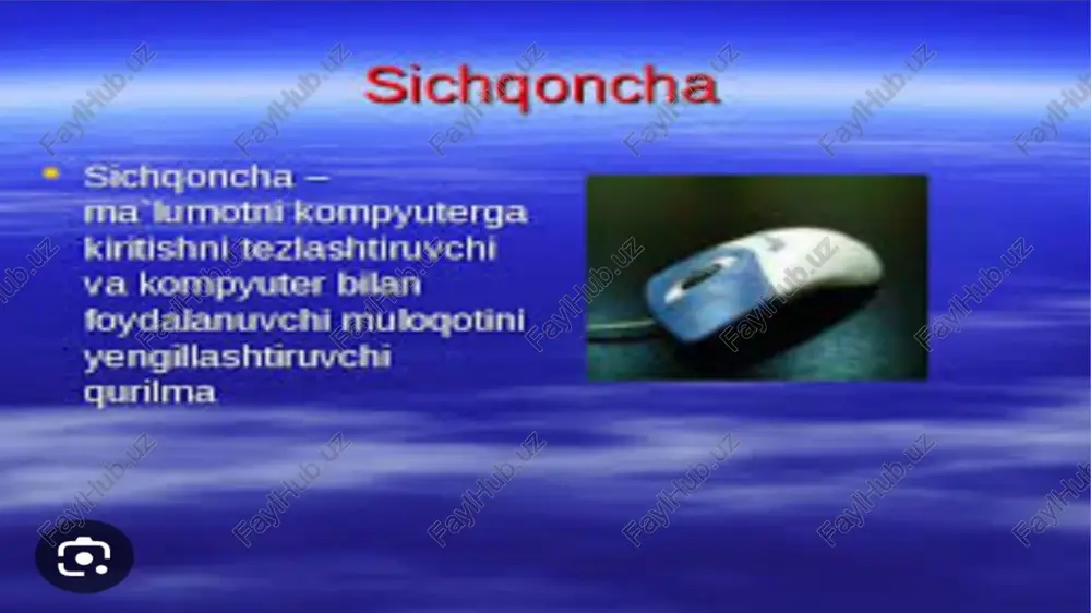 sichqoncha - Page 5