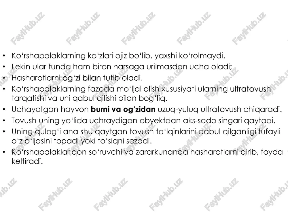 elfinlar kiradi 111-rasm. kitsimonlar: 1 — ko‘k kit; 2 — kashalot; 3 — kasatka; 4 — ogbiqin delfin ko'k kit uning uzunligi 30 m, vazni 150 t va uundan ko'prog keladi. tishlari bo ‘lmaydi; mayda plankton organizmliar, asosan qisqichbagqasimonlar bilan oziglanadi. kitning juda katta og‘iz bo'shlig ‘ida yugori jag ‘idan pastga qarab ko'plab popukli muguz plastinkalar — kit mo‘ylovi osilib turadi. kit og'zini katta ochib, suv to'ldirib oladi. suvni mmuguz plastinkalari orgali o‘tkazib, unga ilakishib qolgan jonivorlarni yutib yuboradi. bir kecha-kunduzda kit 2-4 t ozig yeydi. ko'k kit singari boshqa mayda jonivorlar bilan ozigqlanadigan kitlar mo'ylovli, ya’ni tishsiz kitlar deb ataladi. delfinlar tishli kitlarga esa delfiniar va kashalotlar kiradi. ularning og‘izida juda ko‘p konussimon bir xil tuzilgan tishlar bo‘ladi. bu tishlar fagat ozigni ushlab turishga yordam beradi. delfinlarning uzunligi 3 m gacha bo'ladi. ular o'ljasini fopish uchun ultratovushdan foydalanadi. delfinlarning bosh miyasi murakkab tuzilgan. ular tovush signallari yordamida o'zaro alogqa …
