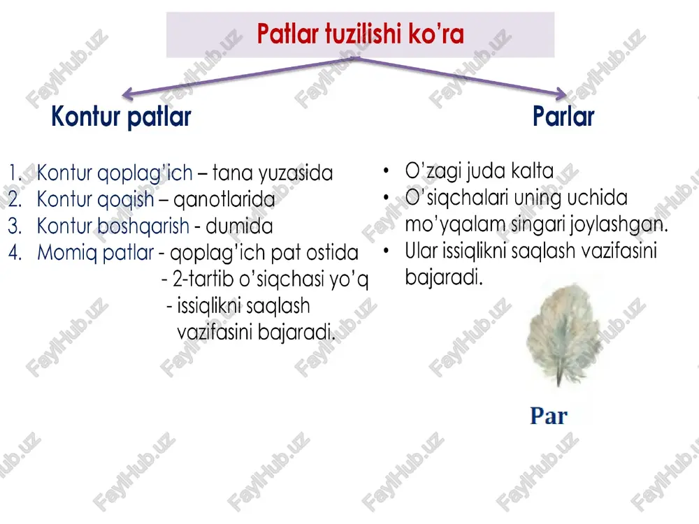 orin tomoni oq. peshana va bo‘yni qizg‘ish-qo‘ng ‘ir. qanotlari ingichka va uzun, dumi ikkiga ajralgan bo‘ladi. uning oyoglari kalta va kuchsiz rivojlangan. yassi va qisqa tumshug‘i juda keng ochiladi. entomofag hayvon. qaldirg‘och tumshug‘i yordamida havoda uchayotgan hasharotlarni tutadi. qaldirg‘och ayvon peshtogi yoki shift ostidagi to‘sinlarga, ba’zan devorga ham so‘lagi bilan aralashtirilgan loydan uya quradi. uyiga 4-6 ta tuxum qo‘yib, urg‘ochisi bosadi. oilasi bir mavsumda 1 mln hasharotni giradi. go’nggarg’a - chumchugsimonlarning yiring vakili. qishlash uchu shimoliy o’lkalardan uchib keladi. mart oyida uchib ketadi. qishda zog'chalar bilan katta gala hosil giladi. chug urchuaqlar - ko‘pincha dalalardagi hasharotlarni terib yeydi. : ishiqchilik davrida rezavor mevalarni cho'qiydi. lar birgalikda uya qurishadi jushmanni sezganda ovozini boricha shovain oli boshga qushlarni yordamga chaqiradi. kaptarsimonlar turkumi ¢ kaptar va musicha vakillari. ¢ ko’k kaptar - shahar va qishloglarimiz ko‘chalari va xiyobonlarida uchraydi. - inlarini jarliklar, qoyalar, tashlandiq imorat va baland binolarning chordoqlariga uya quradi. - u …