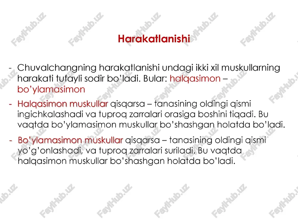 halgali chuvalchanglar tipi - Page 5