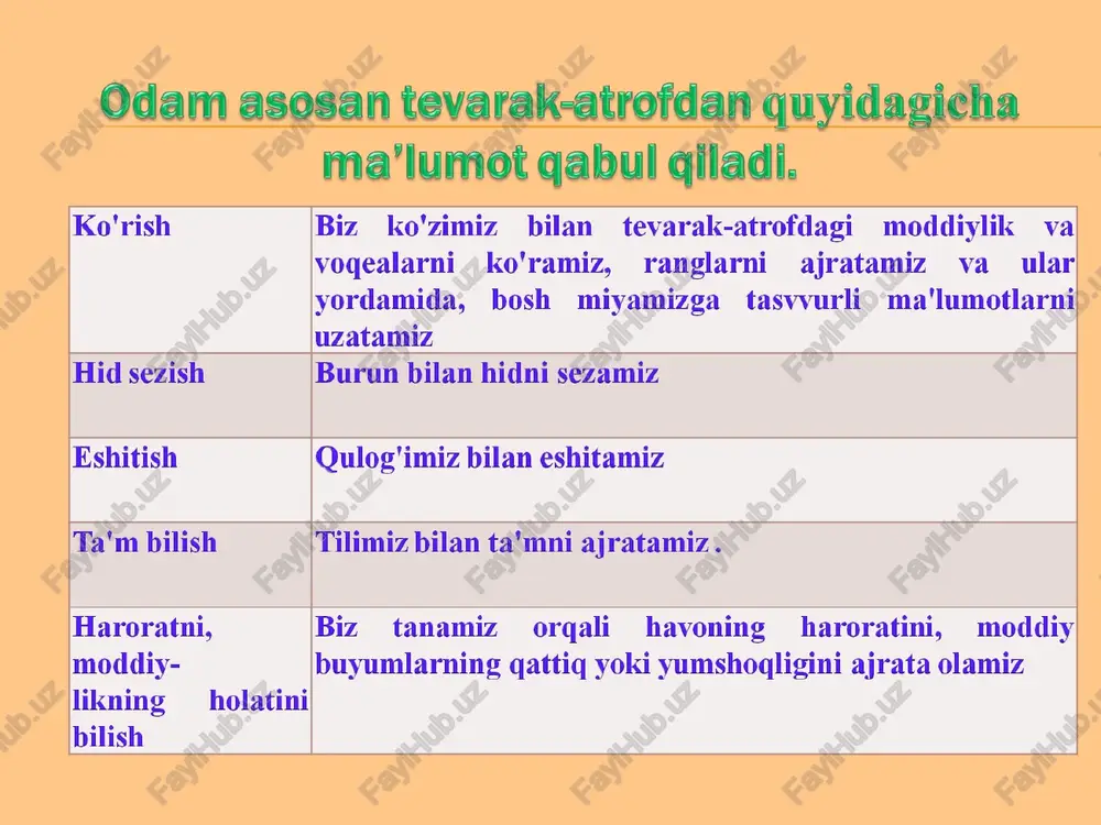 informaatika - Page 5