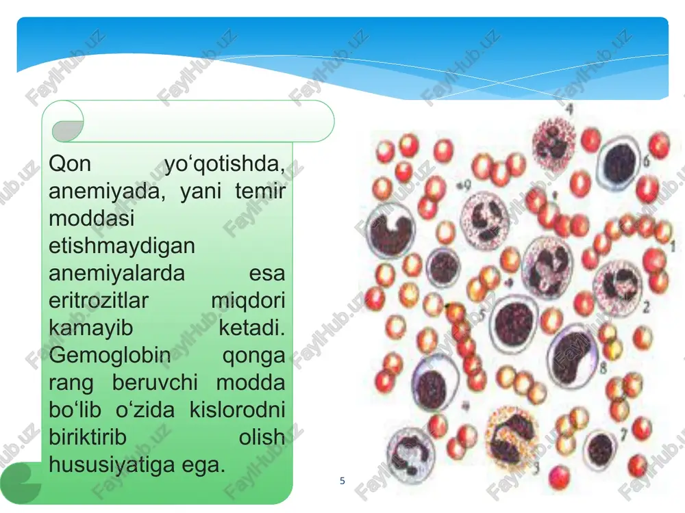 qonxujayralariniavtomatikanalizusullari - Page 5
