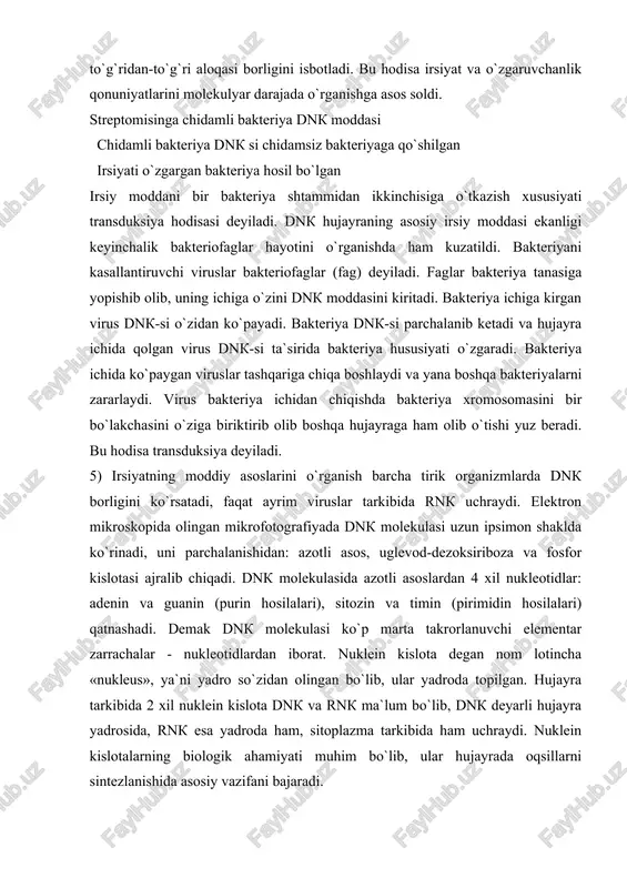 orat. nuklein kislota degan nom lotincha «nukleus», ya`ni yadro so`zidan olingan bo`lib, ular yadroda topilgan. hujayra tarkibida 2 xil nuklein kislota dnk va rnk ma`lum bo`lib, dnk deyarli hujayra yadrosida, rnk esa yadroda ham, sitoplazma tarkibida ham uchraydi. nuklein kislotalarning biologik ahamiyati muhim bo`lib, ular hujayrada oqsillarni sintezlanishida asosiy vazifani bajaradi. ribonuklein kislota -rnk molekulasi dnk ga nisbatan ikki marta kichik bo`lib 1 zanjirdan iborat. uning tarkibi ham o`xshash bo`lib: azotli asos, uglevod (riboza) va fosfor kislotasidan tuzilgan. rnk tarkibida ham a, s, g nukleotidlari bo`lib, ammo timin uchramaydi, uning o`rnida urasil -u bor. hujayrada 3 xil rnk uchraydi: axborot-a-rnk, transport-t-rnk, ribosomal-r-rnk. dnk -ning bir zanjirdagi nukleotidlar tarkibi ikkinchi zanjirdagi nukleotidlar tarkibiga qat`iyan bog`liq va ma`lum tartibda joylashadi. bir zanjirda a joylashgan bo`lsa, uning ro`parasida, ikkinchi zanjirda t bo`ladi; bir zanjirda g joylashgan bo`lsa, ikkinchi zanjirda hamisha s bo`ladi. shunday qilib, a-t va g-s juftida nukleotidlarning biri go`yo ikkinchisini to`ldiradi. …