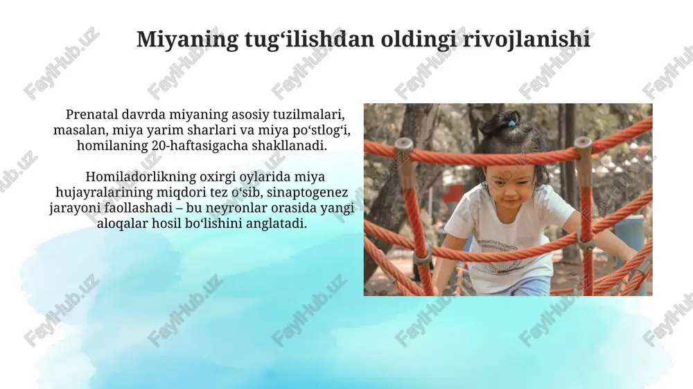 7yoshgacha bo‘lgan bolada bosh miyaning rivojlanishi - Page 5