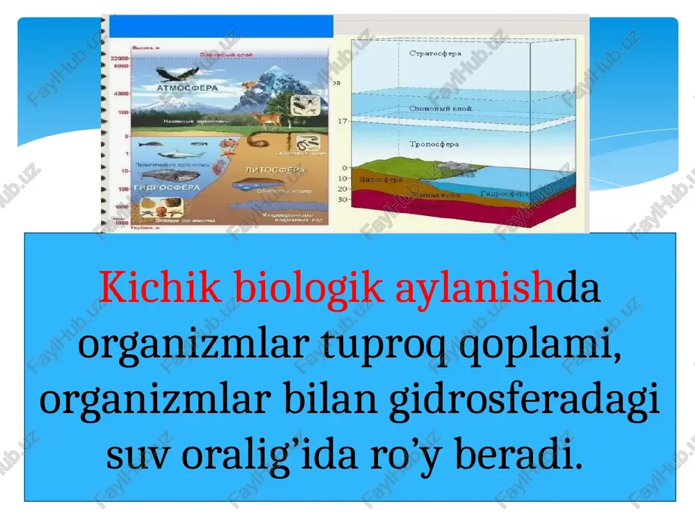 organizmlarning tarqalish omillari. abiotik omillar - Page 5