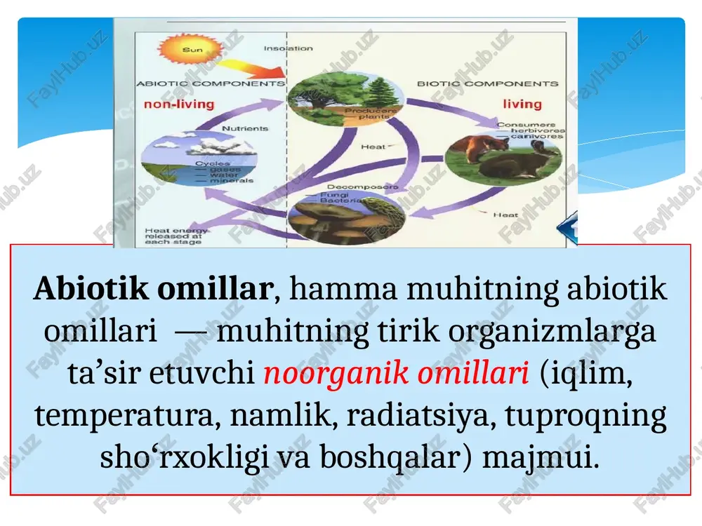 biotik va antropogen omillar - Page 5