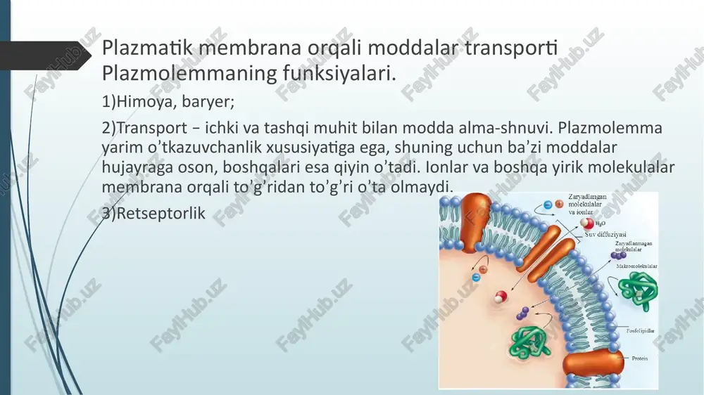 nasil qoldirishiga olib keladi ularning yashashi uchun zarur shart hisoblanadi . e’tiboringiz uchun raxmat image1.emf image2.emf image3.emf image4.emf image5.emf image6.emf image7.emf image8.emf image9.emf image10.emf image11.emf /docprops/thumbnail.jpeg ® mava-hujayrada moddalar,energiya va ma'lumotlar ogimi hujayra proliferatsiyasi / muammolarining tibbiyotdagi roli