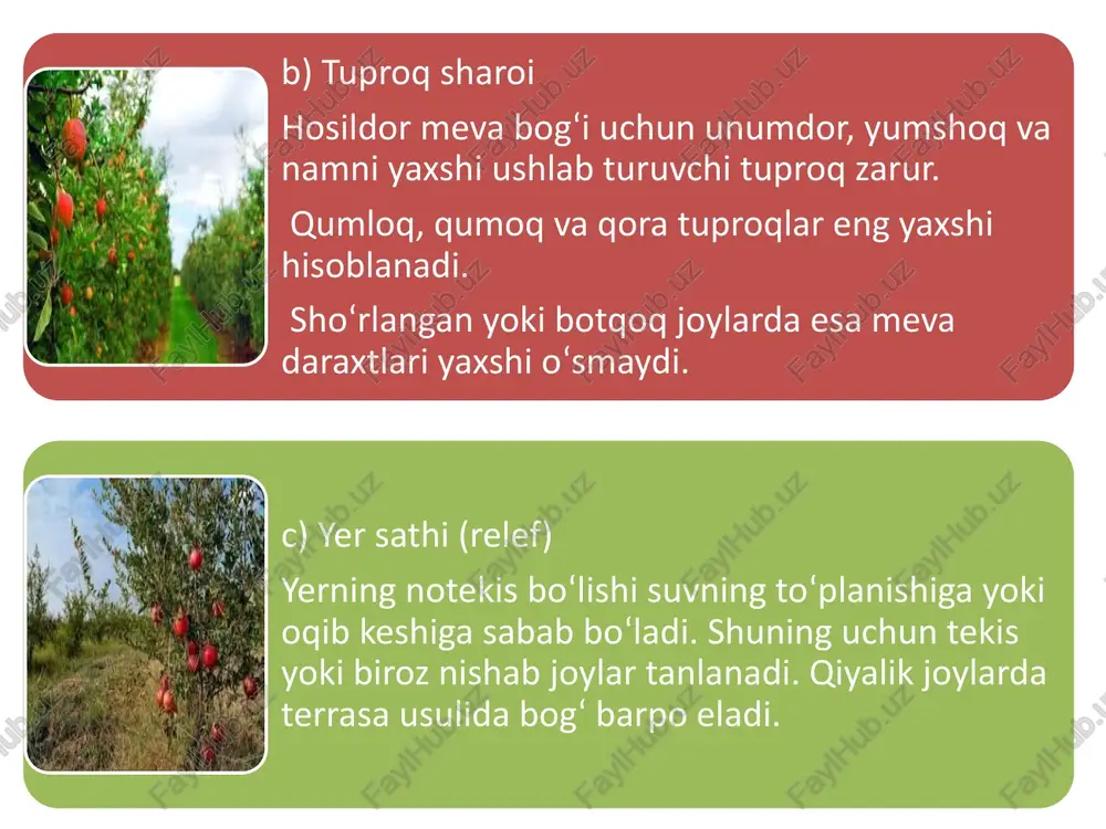 ri va sifatli hosil olish uchun uni muntazam parvarish qilish zarur. bog‘ni parvarish qilish ishlari tuproqni yumshatish, sug‘orish, o‘g‘itlash, begona o‘tlarni yo‘qotish, kasallik va zararkunandalarga qarshi kurashish, daraxtlarga shakl berish kabi tadbirlarni o‘z ichiga oladi. 1. tuproqni parvarish qilish tuproqni parvarish qilish bog‘ning sog‘lom o‘sishi uchun juda muhim. har mavsumda tuproq yumshatilib, begona o‘tlar tozalanadi. har yili chuqur haydash (25–30 sm) va yengil yumshatish ishlari bajariladi. bu ishlar daraxt ildizlariga havo kirishini yaxshilaydi va namni saqlab turadi. 2. sug‘orish sug‘orish meva daraxtlari o‘sishi va hosil hosil bo‘lishida eng muhim omil hisoblanadi bahor va yoz fasllarida daraxtlar har 10–15 kunda bir marta, tuproq namligiga qarab sug‘oriladi eng samarali usul — tomchilatib sug‘orish tizimi bo‘lib, u suvni tejaydi va har bir daraxt ildiziga to‘g‘ridan-to‘g‘ri suv yetkazadi. sug‘orishdan so‘ng yer yengil yumshatiladi. 3.o‘g‘itlash meva daraxtlari muntazam oziqlantirilmasa, hosildorlik pasayadi. organik o‘g‘itlar (go‘ng, kompost) — har 2–3 yilda bir marta, kuzda beriladi. mineral o‘g‘itlar …