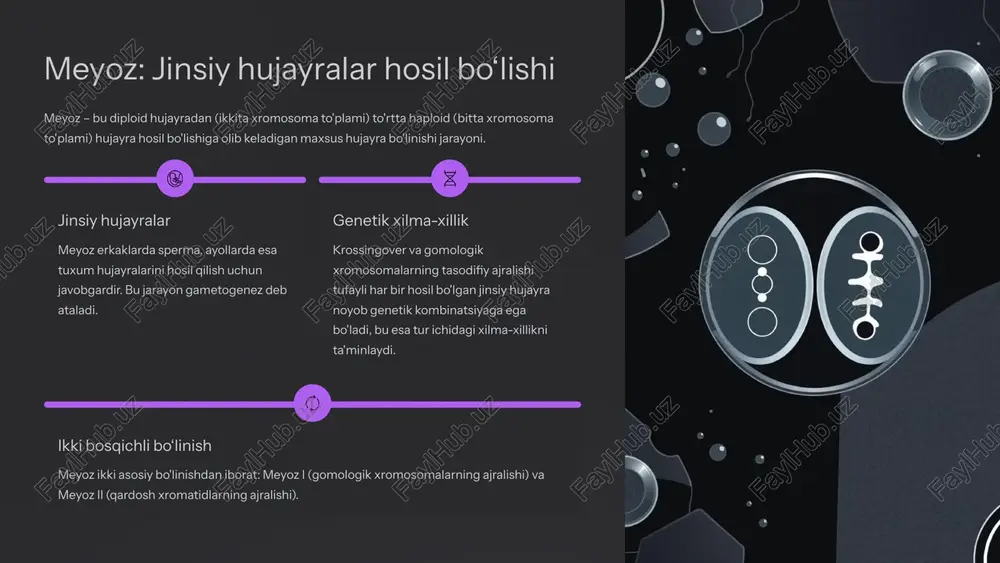 hujayralar proliferatsiyasi: mitoz va meyoz jarayonlari - Page 5
