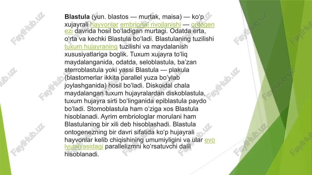 i tomonidan foydalanilishi mumkin. blastula va morula. maydalanish protsessi blastulaning shakllanishi bilan tamomlanadi deb yuqorida aytilgan edi. ba’zi bir hayvonlarda maydalanish morula hosil bo’lishiga olib keladi: bu blastuladan ichida bo’shlig’i bo’lmagan yaxlit shardan iborat bo’lishi bilan farq qiladi. u yoki bu shaklning hosil bo’lishi sitoplazma xossasiga bog’liq bo’ladi. u yetarli darajada cho’ziluvchan bo’lganda blastomerlar yumaloq bo’ladi va faqat bir-birlari bilan yaqinlashgan joyida ozgina yoyilib qoladi. shuning uchun 4 va 8 blastomerlik bosqichidayoq ular orasida yoriqcha paydo bo’ladi; bu maydalanish bilan birga kengayib boradi, suyuqlik bilan to’ladi va blastotselga aylanadi. sitoplazmaning kuchsiz cho’ziluvchanlik vaqtida blastomerlar yumaloqlashmaydi., shunchalik zich joylashadiki, ular oralig’ida yoriqcha qolmaydi va bo’shliq hosil bo’lmaydi. ko’pgina o’quv qo’llanmalarida morulani albatta, blastuladan avval o’tuvchi bosqich deb bayon etiladi. ushbu qo’llanmada p.p.ivanovning morula va blastula turli hayvonlarda blastomerlar sitoplazmasining har xil xususiyatlari natijasida hosil bo’luvchi bosqichlardan iborat, degan fikri bayon qilinadi. image1.png image2.png image3.png image4.png image5.png image6.png image7.png imopuorehe3 ooo & …