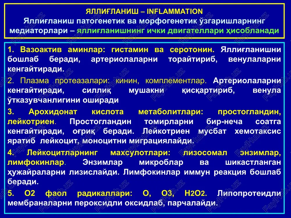 uchun aktivlangan t-limfotsitlarning maxsuli – interferon zarur buladi. epitelioid xujayralarning fagotsitar aktivligi makrofaga nisbatan past (ularda ikkilamchi lizosomal va makrofagal granulalar yuk), lekin bu xujayralarda bakteriotsidli va sekretor aktivlik yaxshi rivojlangan. proliferativ (produktiv) yallig'lanish turlari epitelioid xujayralar ikkinchi xaftadan yadrolarini bulishini xisobiga(xujayra bulinmaydi) gigant ko'p yadroli pirogov-langxans va yana 2-3 xaftadan keyin gigant yot tanachalar xujayralariga aylanadi. pirogov-langxans xujayralari – yirik xujayralar bulib, ularning ulchamlari 40-50 mkm, yadrolarining soni 20 tagacha, ular ekstsentrik, takasimon joylashishi bilan xarakterlanadi. yot tanachalar gigant xujayralarida yadrolar soni 30-100 tagacha bulib, asosan xujayra markazida joylashishi bilan farklanadi. bu ikki tip xujayralarda lizosomalar yukligi uchun, ularda fagotsitoz endotsitobioz bilan namoyon buladi, ya'ni, bu xujayrala infektni kamrab oladi, lekin uni eritib yubora olmaydi. bu xujayralar, shuningdek sekretor funktsiyaga xam ega emas. proliferativ (produktiv) yallig'lanish turlari granulemalarning morfogenezi kuyidagi 4-boskichdan iborat: 1) to'qimalarning shikastlangan soxasida yosh monotsitlarni to'planishi; 2) bu xujayralarni makrofaglargacha etilishi va makrofagal granulemani xosil bulishi; …