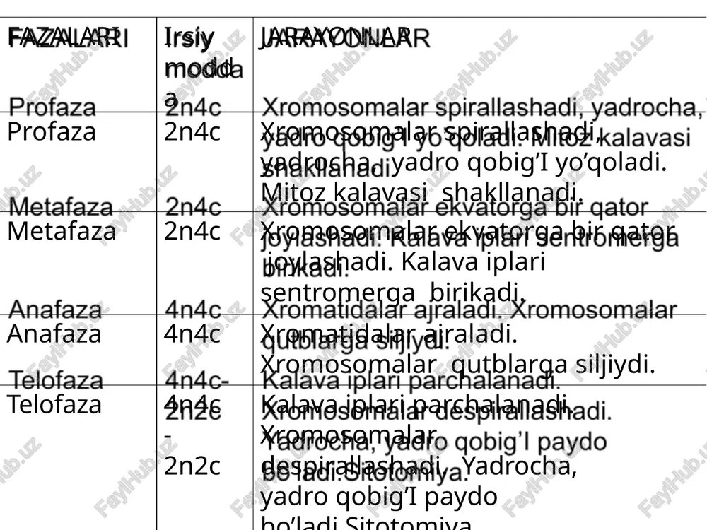 xromosoma.hujayraninghayotsikli.mitoz.meyoz. - Page 5