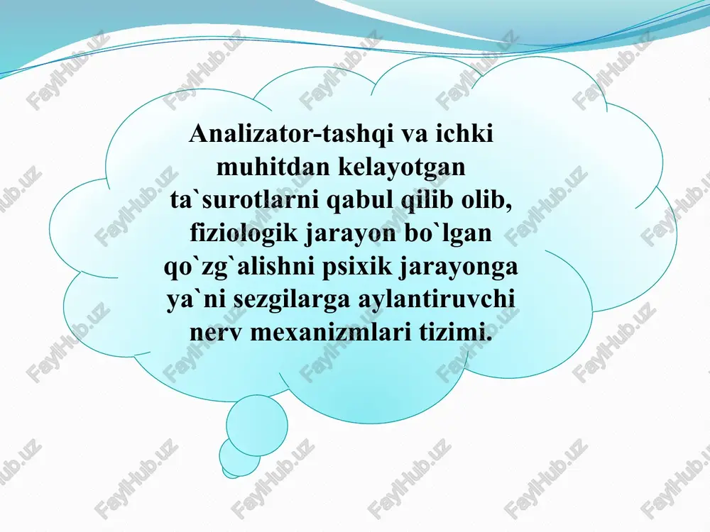 sezgi - Page 5
