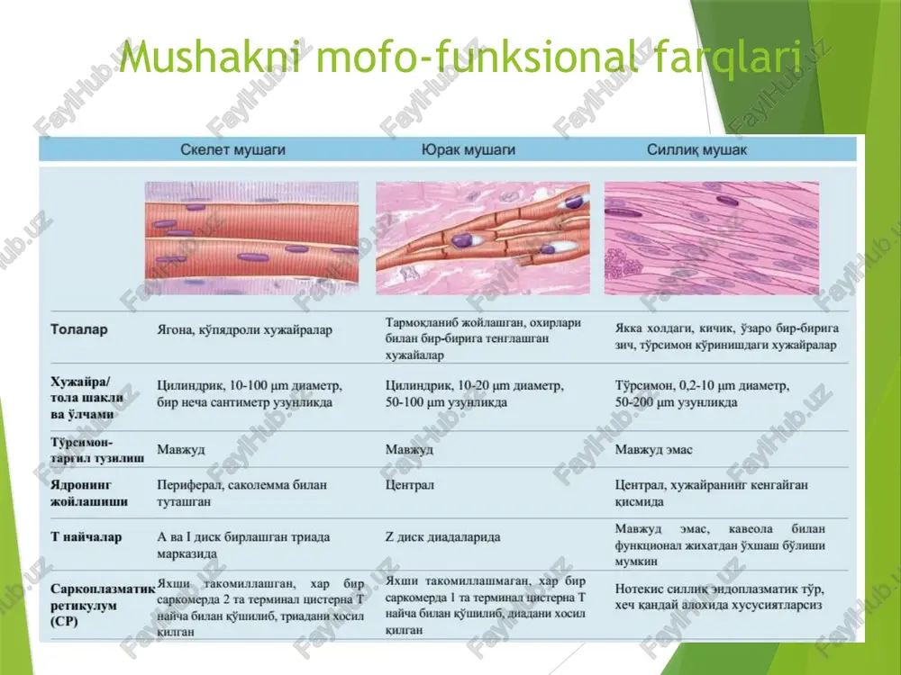 ge39.jpeg image40.jpeg image41.jpeg striations [aapo ‘mywiak tona dn tyna bupuxrupyeun_ bupnktupysun anck truxoren vipanapn tonannar tapmoxnaynulu i200) a ckener mywarn bopak mywarn ¢ cunnink mywak at vnu lec nlt) py tapmox1ahn xolixauiran, oxuprapit tonanap sroua, xjnsapos xyxxaiipanap sica xonar, kusuk, y3apo gup-gupura guras gup-gupura texrnauuran ous, ‘on ymalipansp symeeed, xy«aiipa/ uwmmapu, 10-100 pm auamerp, uwmmapux, 10-20 um anamerp, typcumon, 0,2-10 um anamerp, toxa makin yp yea caxtumetp yayhinka 50-100 ium yayrinmcna 50-200 jum ysynormkna a yauann ‘typenmon- vraprua tysuamm mop*y maeve mapxys uae sapomm tlepupepan, caxonesa guat hestpax lentpan, xyxaiipannur kenraiirast xxoiizammun = tyramran nema . manaya ac, xaneoaa guia tuaitvasap a sal ack gupsamran tpuana z aucx anananapusa ipemponen xoxerpen foxe 6 atm mapkasnia ines capxonaasmaruc *xhm taxomunzamran, xap gup — axum taxomuuiaumara, x8 hp ho cxare cua shslonnasmathk tp, peruxyayst capkowepaa 2 ta tepacian uicrepha t — capwonepa i ra epuanian uuetepiia t seu gassnaii anoxia xycycutiapch3 (cp) …
