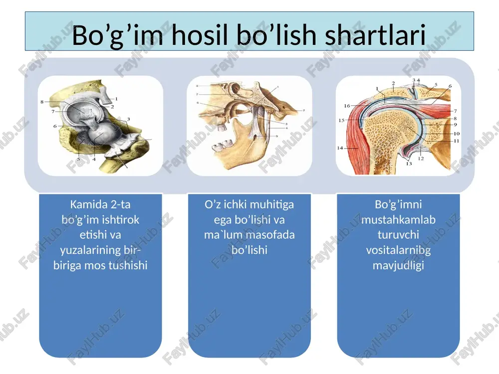 atiy uroven obrazets teksta vtoroy uroven tretiy uroven chetvertiy uroven pyatiy uroven 02.10.2023 ‹#› obrazets zagolovka obrazets teksta 02.10.2023 ‹#› obrazets zagolovka obrazets teksta vtoroy uroven tretiy uroven chetvertiy uroven pyatiy uroven 02.10.2023 ‹#› obrazets zagolovka obrazets teksta 02.10.2023 ‹#› obrazets zagolovka 02.10.2023 ‹#› 02.10.2023 ‹#› obrazets zagolovka obrazets teksta vtoroy uroven tretiy uroven chetvertiy uroven pyatiy uroven 02.10.2023 ‹#› obrazets zagolovka obrazets teksta vtoroy uroven tretiy uroven chetvertiy uroven pyatiy uroven 02.10.2023 ‹#› f = ~ €§ fe a a ~~ wveu hosbohka viane} aleraganus university cba3kwh uw cyctabbi no3bohoyuhoro ctonba lig. longitudinale posterius ‘ foramen intervertebrale \ \ * intervertebra _--nucleus pulp fave, € b® ge nailan | p " ae j page be r -— anulus fib cartilago ve (stratum cartila longitu anteriu ies articularis inferior ie cycram, lig. supraspinale : . — a ' ee ee _ . id 3 if. mea . aticulari« lp ree …