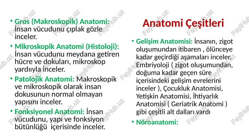 afta bulunan boşluklar (ventral boşluklar) a-cavitas thoracis (göğüs boşluğu) b-cavitas abdominis (karın boşluğu) c-cavitas pelvis (pelvis boşluğu) 2-arka tarafta bulunan boşluklar (dorsal boşluklar) a-cavitas cranii (kafatası boşluğu) b-cavitas spinalis (spinal boşluk) auris (kulak) nasus (burun) pectoral bölge abdominal bölge brachium (kol) antebrachium (ön kol) manus (el) umbilicus femur (uyluk) bacak (crus) pes (ayak) collum (cervix=boyun) orbita (göz çukuru) linea mediana linea lateralis linea medialis distal proximal superior i̇nferior posterior (dorsal) anterior (ventral) palmar dorsal plantar dorsal anatomik terimler i̇nternus. i̇ç externus: dış cranialis: kafaya ait caudalis: kuyruğa ait rostral: buruna doğru medialis. i̇ç lateralis: dış superficialis: yüzeysel profundus: derin centralis: merkezi periferalis: çevresel apicalis: tepe basalis: taban anterior : ön posterior: arka ventralis: karın tarafı dorsalis: sırt tarafı palmar: avuç içine ait plantar. ayak tabanına ait dexter: sağ sinister: sol proximalis: gövdeye yakın distalis: gövdeye uzak superior:üst, yukarı i̇nferior: alt, aşağı apex: tepe vertikal: dikey horizontal: yatay sagittal: önden arkaya …