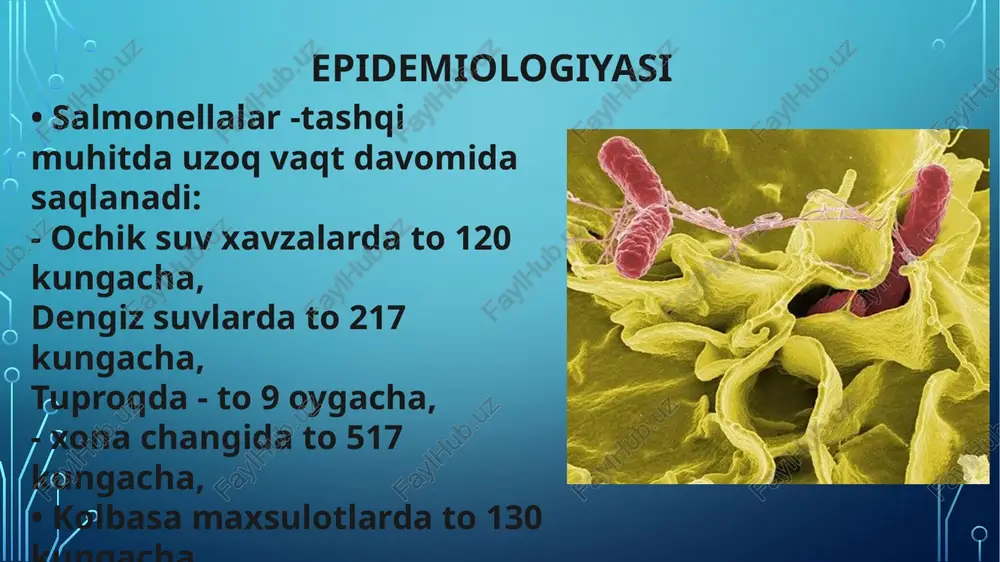 salmonella kasalligi - Page 5