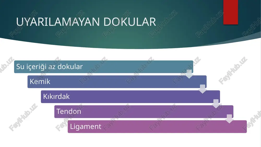 elektroterapi̇ nedi̇r? - Page 5