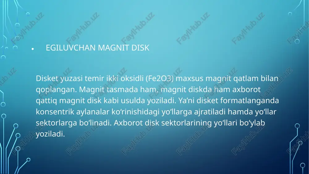 egiluvchan magnit disk - Page 5