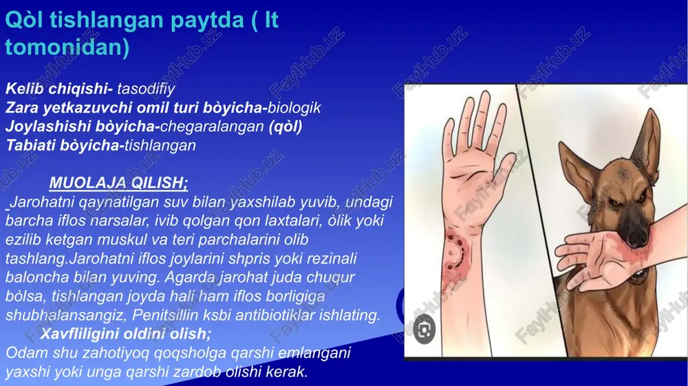 jarohatlarda infeksiyani bartaraf qilish - Page 5
