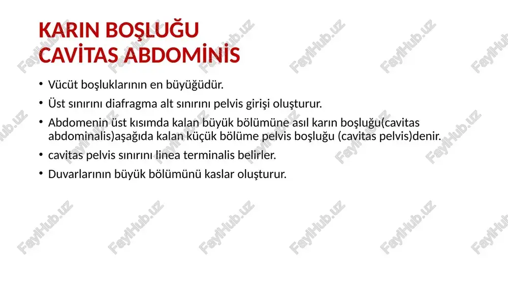 regatiler daha büyük ve daha çok sayıda kalın bağırsaklar sindirim kanalının ileumdan sonra başlayan ve anüsde sona eren bölümüdür.yaklaşık 1,5-2 m uzunluğundadır. en geniş yeri başlangıç kısmı olan caecumdur ve genişliği giderek azalır. kalın bağırsaklar 4 bölümden oluşur: -caecum(kör bağırsak) -colon -rectum -canalis analis caecum(kör bağırsak) kalın bağırsağın başlangıç bölümüdür. sağ fossa iliacada bulunur. i̇leumun son kısmı ile caecum arasındaki deliğe ostium ilealis denir. caecum arka –iç duvarı ,ostium ilealis’in 2 cm aşağısında appendix vermiformis denilen çıkıntı bulunur. colon ceacumdan rectuma kadar uzanır. -colon ascendens (çıkan colon) -colon transversum (yatay colon) -colon descendens (inen colon) -colon sigmoideum (sigmoid colon) mezenter rectum kalın barsakların son kısmını oluşturmaktadır. rectumun alt kısmına ampulla recti denir. canalis analis sindirim kanalının son kısmıdır. rectumdan başlar,anüsle sonlanır. canalis analis kaslarla sarılmıştır. m.sphincter ani externus m.sphincter ani internus canalis analis kb’ların son 2,5-4cmlik kısmını oluşturur. komşuluıkları: e: bulbus penis, diaphragma urogenitale, k: vaginanın arka yüzü valvula analislerin …